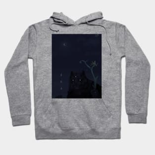 Noctuso Hoodie